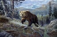 Over The Top Grizzly Fine Art Print