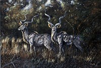 Shadows Fine Art Print