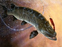 Net Muskie Fine Art Print