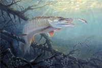 In The Zone Fine Art Print