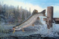 Tiger In The Mist Fine Art Print