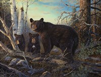 Absolutely Wild Fine Art Print