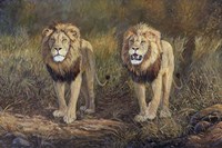 Bad Boys Fine Art Print