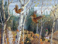 Double Flush Fine Art Print