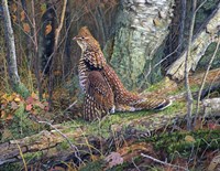 Drummer Boy Fine Art Print