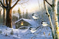 Evening Shadows Fine Art Print