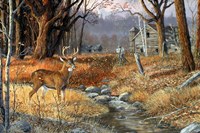 Forgotten Valley Fine Art Print