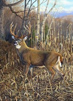 Heading For Cover 2 Fine Art Print