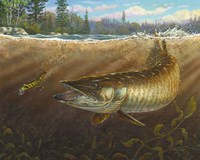 Lucky Cast Fine Art Print