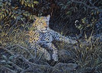 Night Of The Hunter Fine Art Print