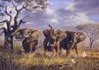 On African Winds Fine Art Print