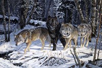 On The Night Trail Fine Art Print