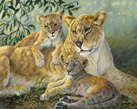 Restful Retreat Fine Art Print