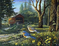 Sleepy Hollow Bluebirds Fine Art Print