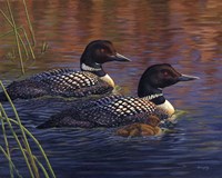 Spirit Of The Wilderness Fine Art Print