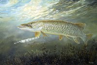 Stalking The Tiger Fine Art Print