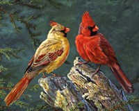 Whispering Pines Fine Art Print