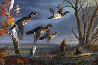 Woodies On The Wing Fine Art Print