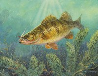 Perch Fine Art Print