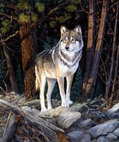 Solitary Sentinel Fine Art Print