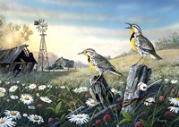 Meadow Outpost Fine Art Print