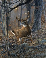 Buck Fever Fine Art Print