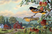 Old Orchard Hideaway Fine Art Print