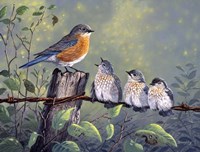 The Blue Crew Fine Art Print