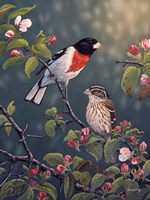 Apple Blossom Time Fine Art Print