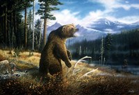 Ghost Grizzly Fine Art Print