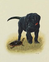 Speed Zone Fine Art Print