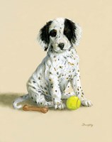 My Toys Fine Art Print