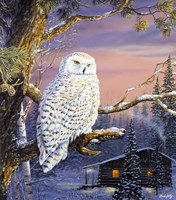 Dawns Outpost Fine Art Print