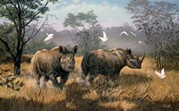 Rhino Fine Art Print