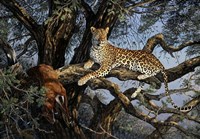 Leopard Fine Art Print