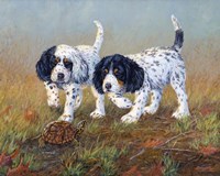 First Point Fine Art Print