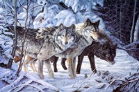 Out Of The Shadows Fine Art Print