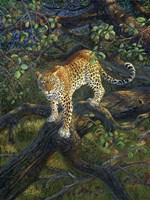 African Princess Fine Art Print