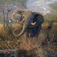 Angry Tusker Fine Art Print