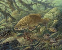 Challenge Fine Art Print