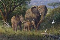 Kindred Spirits Fine Art Print