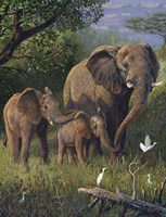 Kindred Spirits 2 Fine Art Print