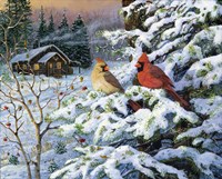 Winters Warm Glow Cardinals Fine Art Print