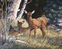 First Spring Fine Art Print