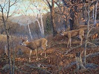 Follow The Leader Fine Art Print