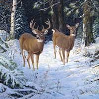 Savor The Moment Fine Art Print