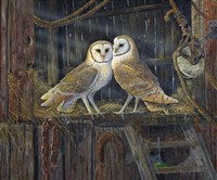 Barnyard Romance Fine Art Print