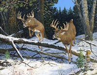 Broken Silence Fine Art Print