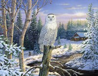 Whispering Ridge Snowy Owl Fine Art Print