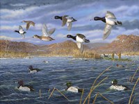 Mississippi River Memories Fine Art Print